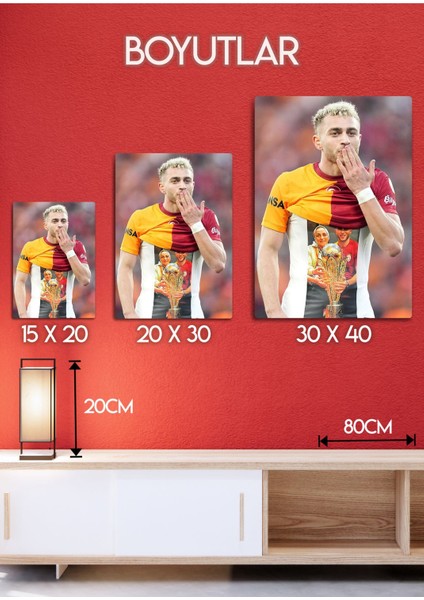 Barış Alper Yılmaz Bay - Metal Tablo fırsatları