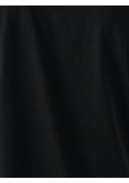 Regular Fit Siyah Erkek T-Shirt LF2038459 indirimleri