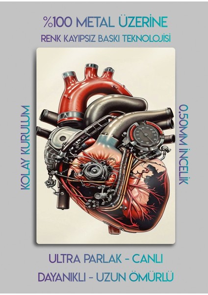 Kalp Motor Dekoratif Metal Baskı Duvar Tablosu fiyatları