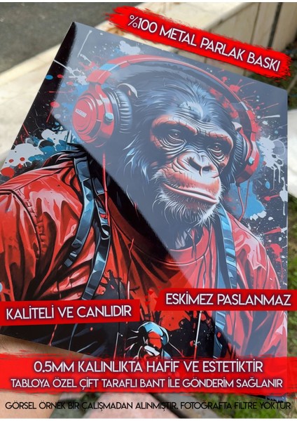 Metal Baskı Parlak Duvar Tablosu - Satoru Gojo Jujutsu Kaisen modelleri