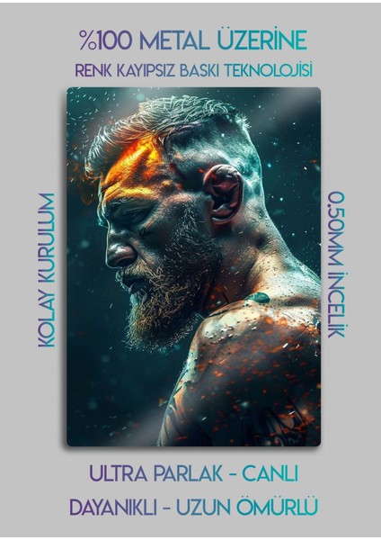 Conor Mcgregor, Ufc - Parlak Metal Baskı Tablo fiyatları