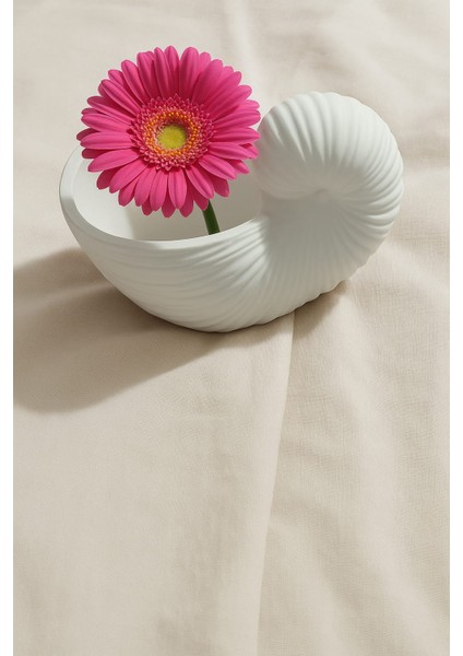 Salyangoz Dekorlu El Yapımı Dekoratif Saksı – Şık Tasarım (13 x 8 Cm) fiyatları