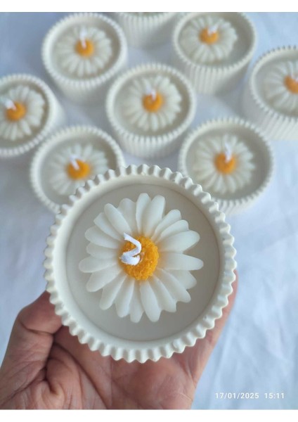 Luxury Beton Saksı Içerisinde Papatya Mum %100 Soyawax 1 Adet