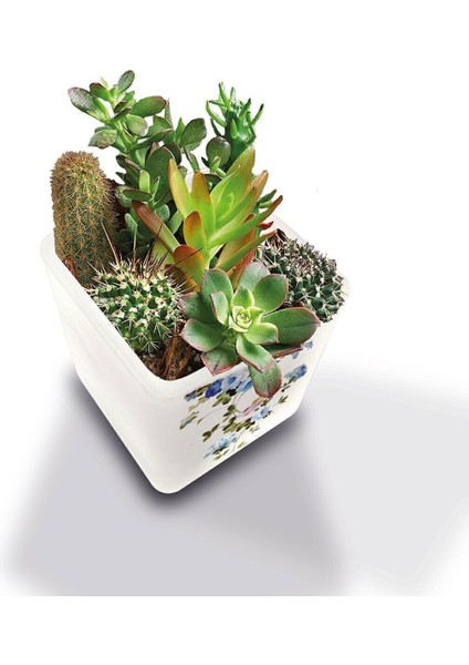 Luxury Dekoratif Buzlu Cam Mumluk Mavi Çiçekler Desen 8x8 cm (2 Adet) 1 Adet modelleri