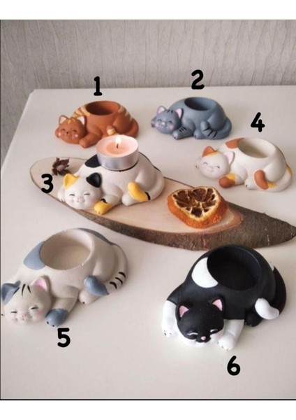 Luxury Kedi Yumurtalık / Mumluk / Seçeceğiniz 3 Adet 1 Adet fiyatları