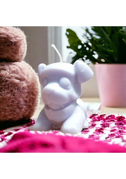 Luxury 4 Adet Kokulu Köpek Doğal Soya Wax Mum 1 Adet
