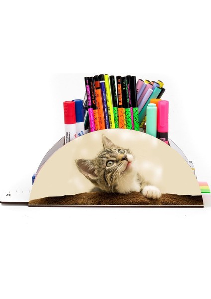 Luxury Ahşap Vip Kedi Serisi Gökkuşağı Cetvelli Masaüstü Kalemlik Organizer Montajlı Kutulu 1 Adet