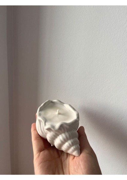 Luxury Deniz Kabuğu Mumluk 1 Adet