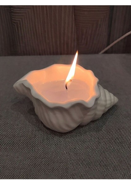 Luxury Deniz Kabuğu Mumluk 1 Adet fiyatları
