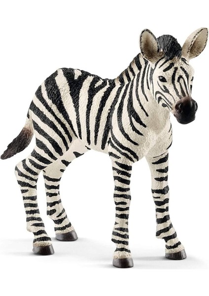 Luxury Yavru Zebra 14811 1 Adet