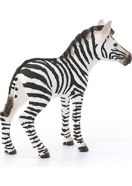 Luxury Yavru Zebra 14811 1 Adet fırsatları