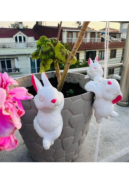 Luxury Saksı Süsü Dekoratif Saksıya Asılan Tavşanlar 3 Adet 1 Adet