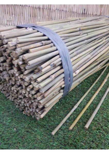 Luxury Bambu Çubuk 75 cm 5 Adet Bambu Çubuğu Bambu Çubuklar Doğal Bambu Çubukları 1 Adet