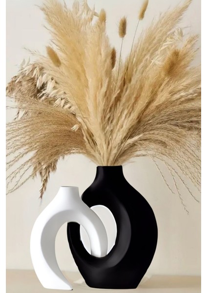Luxury Siyah&beyaz 2 Li 16CM Iskandinav Tarzı Sarmaşık Bohem Vazo Pinterest Pampas Vazosu Salon Aksesuarı 1 Adet