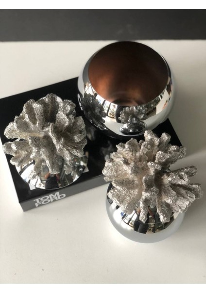 Luxury Dekoratif 2 Li Mercan Kutu Gümüş & Gümüş 1 Adet