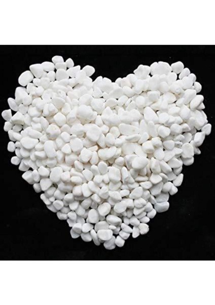 Luxury Dolomit Taş 10 kg 1-2 cm Dere Taşı Çakıl Taşı Bahçe Süs Taşı Dolamit Taş Dekoratif Taş 1 Adet