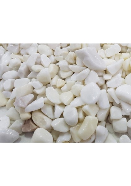 Luxury Dolomit Taş 10 kg 1-2 cm Dere Taşı Çakıl Taşı Bahçe Süs Taşı Dolamit Taş Dekoratif Taş 1 Adet