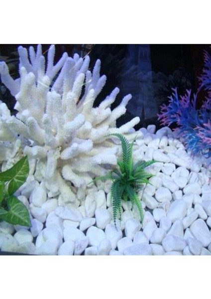 Luxury Dolomit Taş 10 kg 1-2 cm Dere Taşı Çakıl Taşı Bahçe Süs Taşı Dolamit Taş Dekoratif Taş 1 Adet