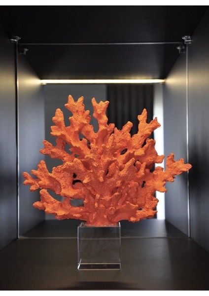 Luxury Dekoratif Kristalli Turuncu Mercan Aksesuar 1 Adet