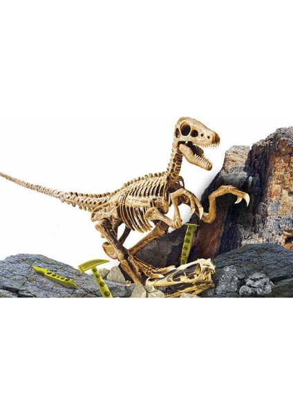 Luxury Bilim Seti: Super Kit Velociraptor 1 Adet