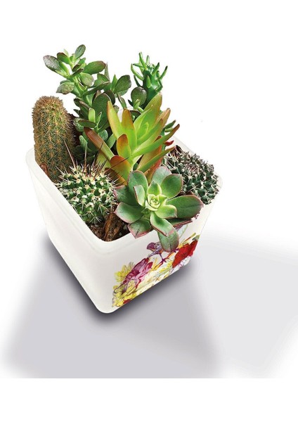 Luxury Dekoratif Buzlu Cam Mumluk Pembe Çiçekli Kuş Desen 8x8 cm (4 Adet) 1 Adet modelleri