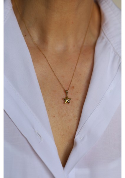 14 Ayar Altın Köşeli Yıldız Kolye Ucu fiyatları