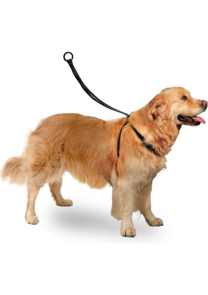 Karlıe Easy Walker Göğüs Tasma 40*58 cm Large Ferrg