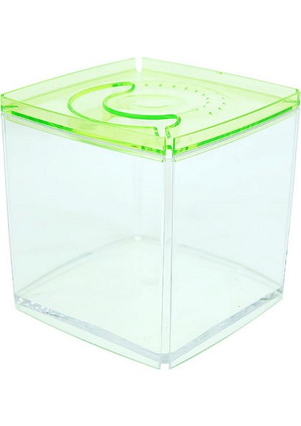Stylish Display Case - Kare Tank - Yeşil Ferrg