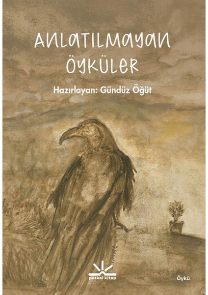 Anlatılmayan Öyküler