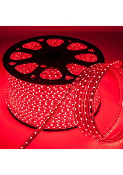 CT-4550 220 Volt 100M Şerit LED 3 Çipli Kırmızı Işık