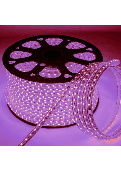 CT-4551 220 Volt 100M Şerit LED 3 Çipli Mavi Işık