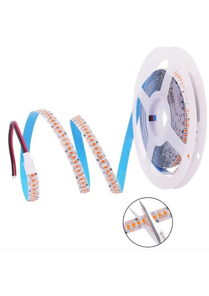 CT-4538B 240 Çipli 12V 5m LED Şerit Iç Mekan Beyaz Işık