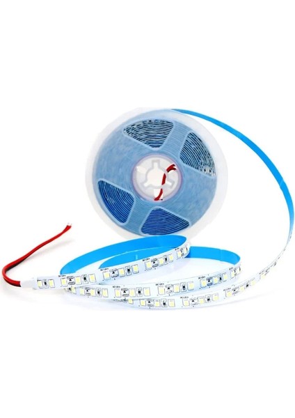 CT-4483 10 Çip Şerit LED Iç Mekan Yeşil Işık 5 Metre