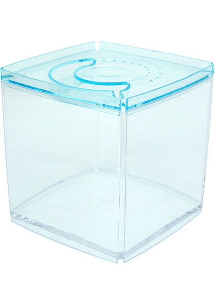 Stylish Display Case - Kare Tank - Mavi Yktsn