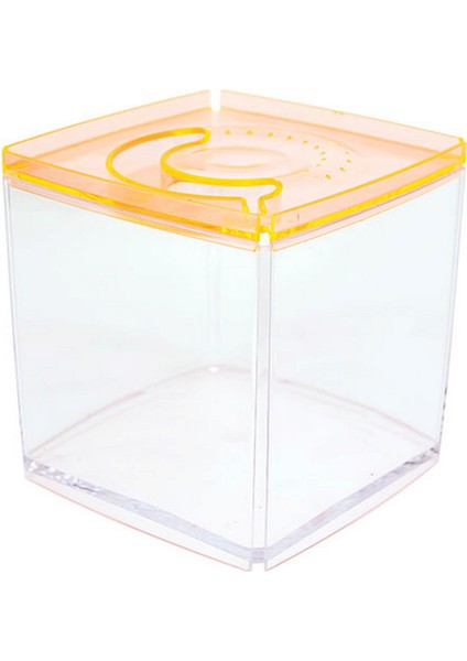 Stylish Display Case - Kare Tank - Turuncu Yktsn