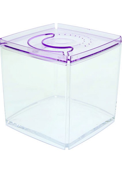 Stylish Display Case - Kare Tank - Mor Yktsn