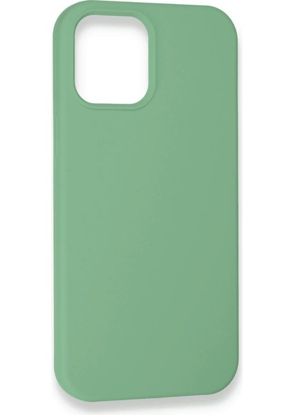 Apple iPhone 12 Pro Kılıf Lansman Legant Silikon - Yeşil Ferrg