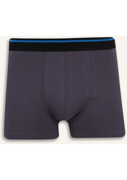 Regular Fit 3'lü Boxer E7208AX25SM