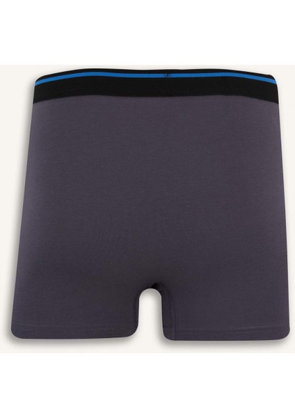 Regular Fit 3'lü Boxer E7208AX25SM