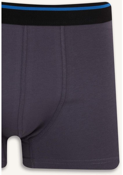 Regular Fit 3'lü Boxer E7208AX25SM