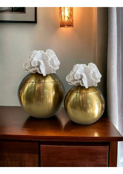 Luxury Dekoratif 2 Li Mercan Kutu Eskitme & Beyaz 1 Adet