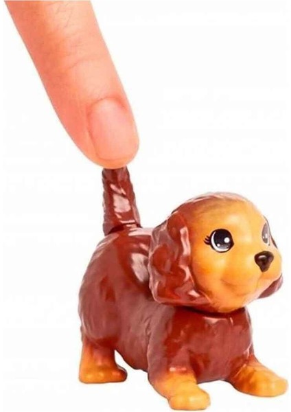 Luxury Sevimli Hayvanlar ve Aksesuarları HKD81 HKD82 Köpek 1 Adet