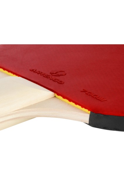 Pongori Masa Tenisi Raketi - Ppr 100