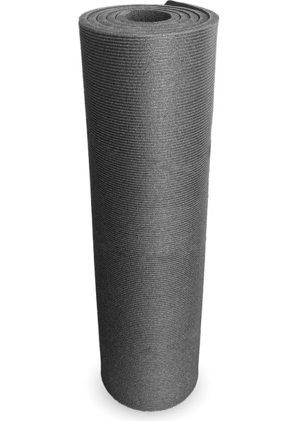 TR Pilates Mat 100
