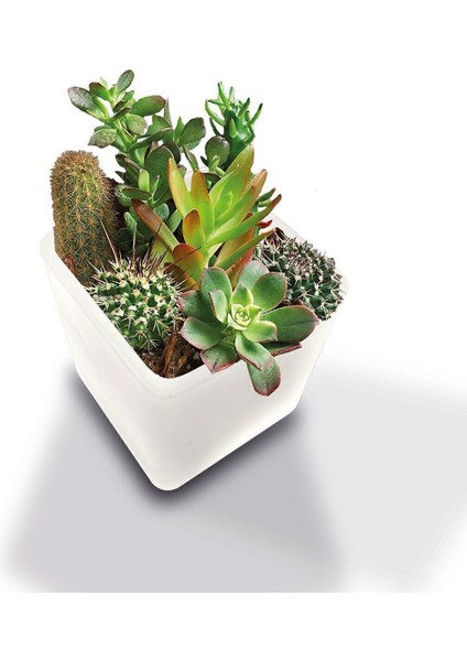 Luxury Dekoratif Buzlu Cam Mumluk 8x8 cm (4 Adet) 1 Adet modelleri