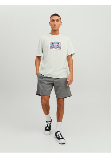 Jortulum Landscape Tee Ss Crew Neck Erkek T-Shirt