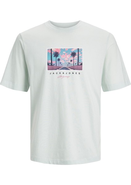 Jortulum Landscape Tee Ss Crew Neck Erkek T-Shirt