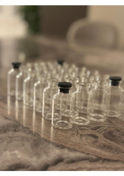 20CC Cam Şişe 24 Adet Set Plastik Tıpalı Özel Günler Için Hediyelik Hazırlama Şişesi Cam Şişe 20 cc