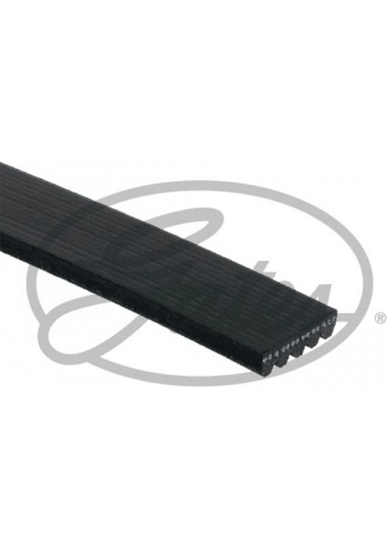 Kanalli Kayiş Micro-V Xf / 58382 Opel Astra G 1.4 1.6 16V Gnzrz