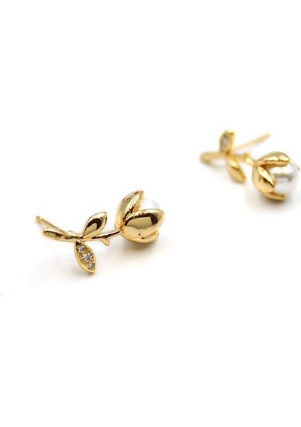 Gül Küpe - Altın fiyatları